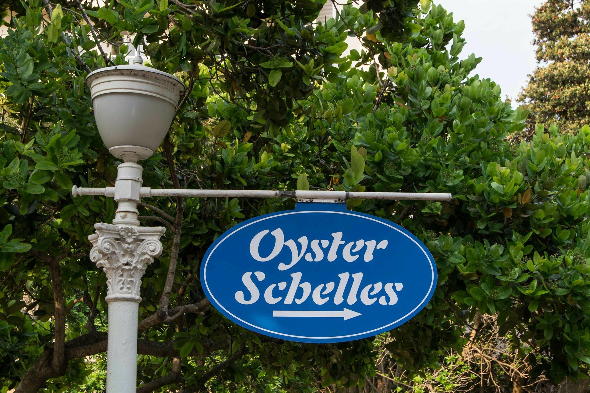 302 Oyster Schelles - By Stay In Umhlanga 德班 外观 照片